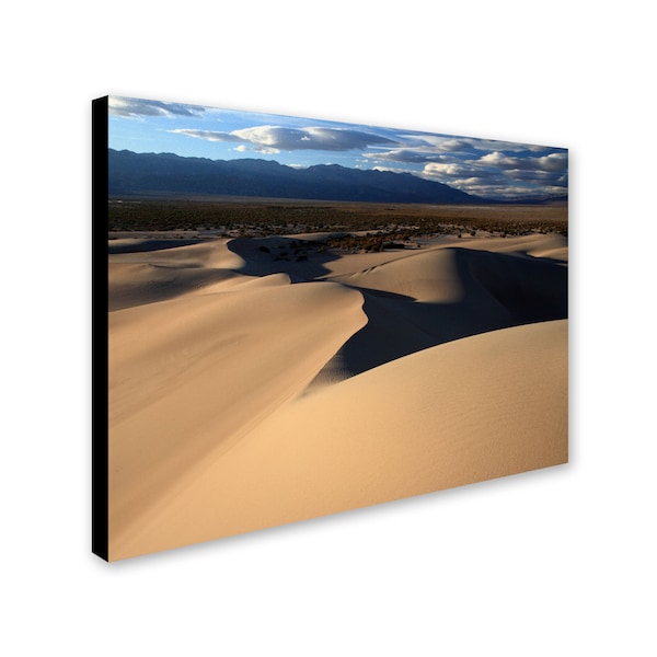 Pierre Leclerc 'Sand Dunes' Canvas Art,16x24